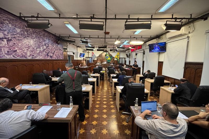 Câmara de Bauru aprova novos projetos de proteção animal