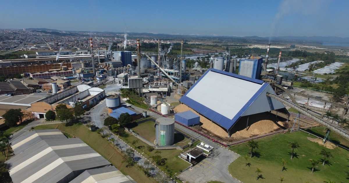 Suzano oferece vagas para Programa de Aprendiz