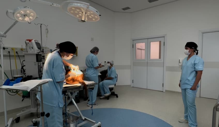 Hospital Pró-Pet realiza primeira cirurgia em Mogi