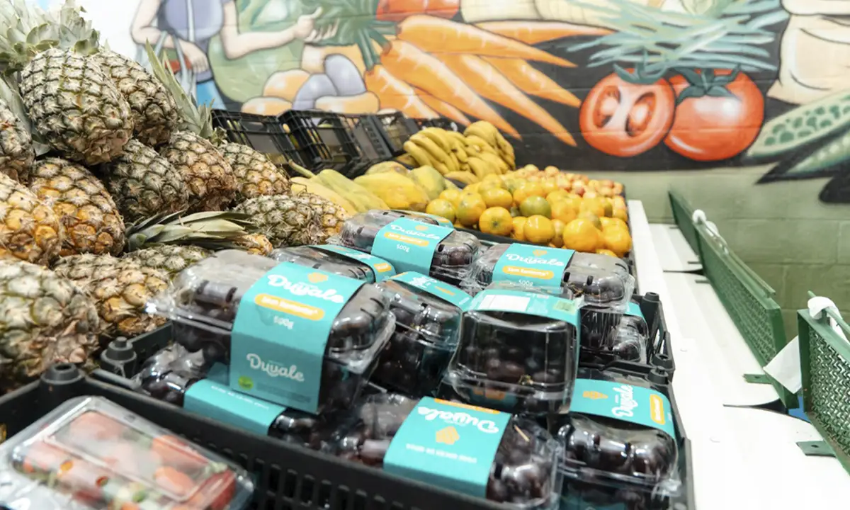 São Bernardo troca garrafas PET por alimentos