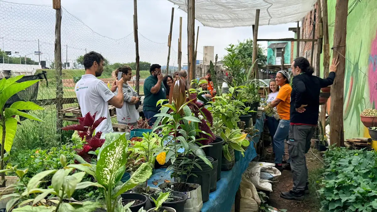 São Bernardo avança na agricultura urbana
