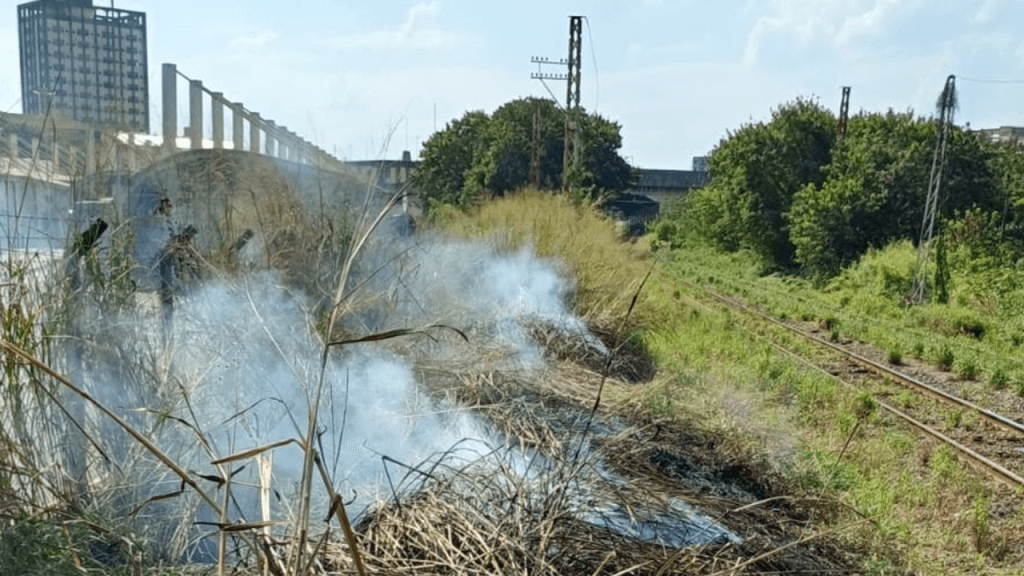 Onda de calor eleva risco de queimadas em Limeira