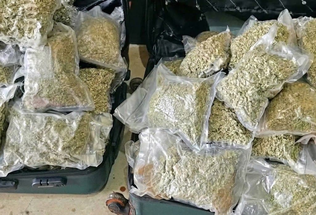 Homem é detido com 39 kg de skunk