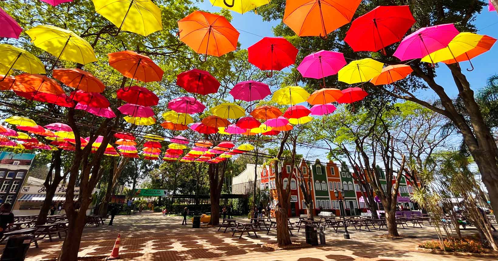 Vinhedo terá ônibus gratuito para visita à 43ª Expoflora, em Holambra