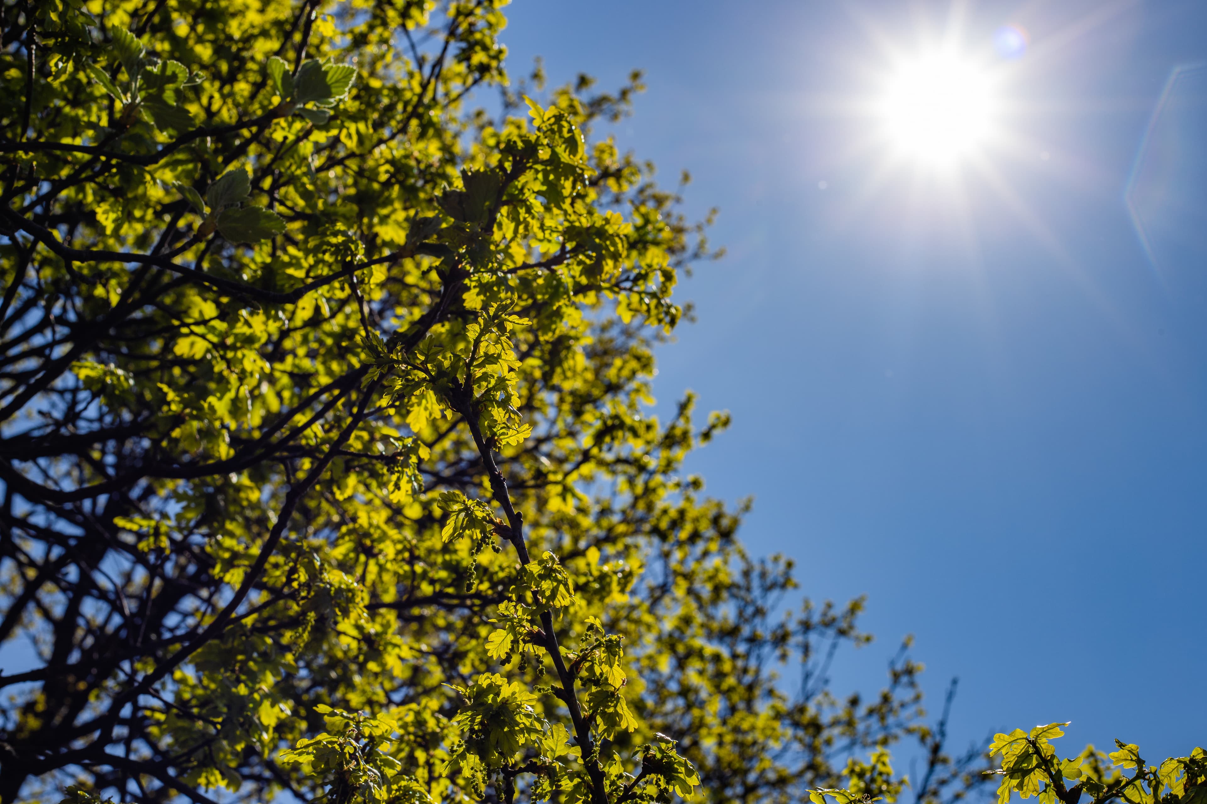 Calor volta a ganhar força em Piracicaba nesta quinta-feira (27)