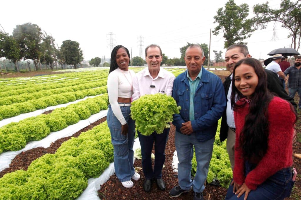 Piracicaba inaugura primeira horta cooperativa para gerar renda a famílias vulneráveis