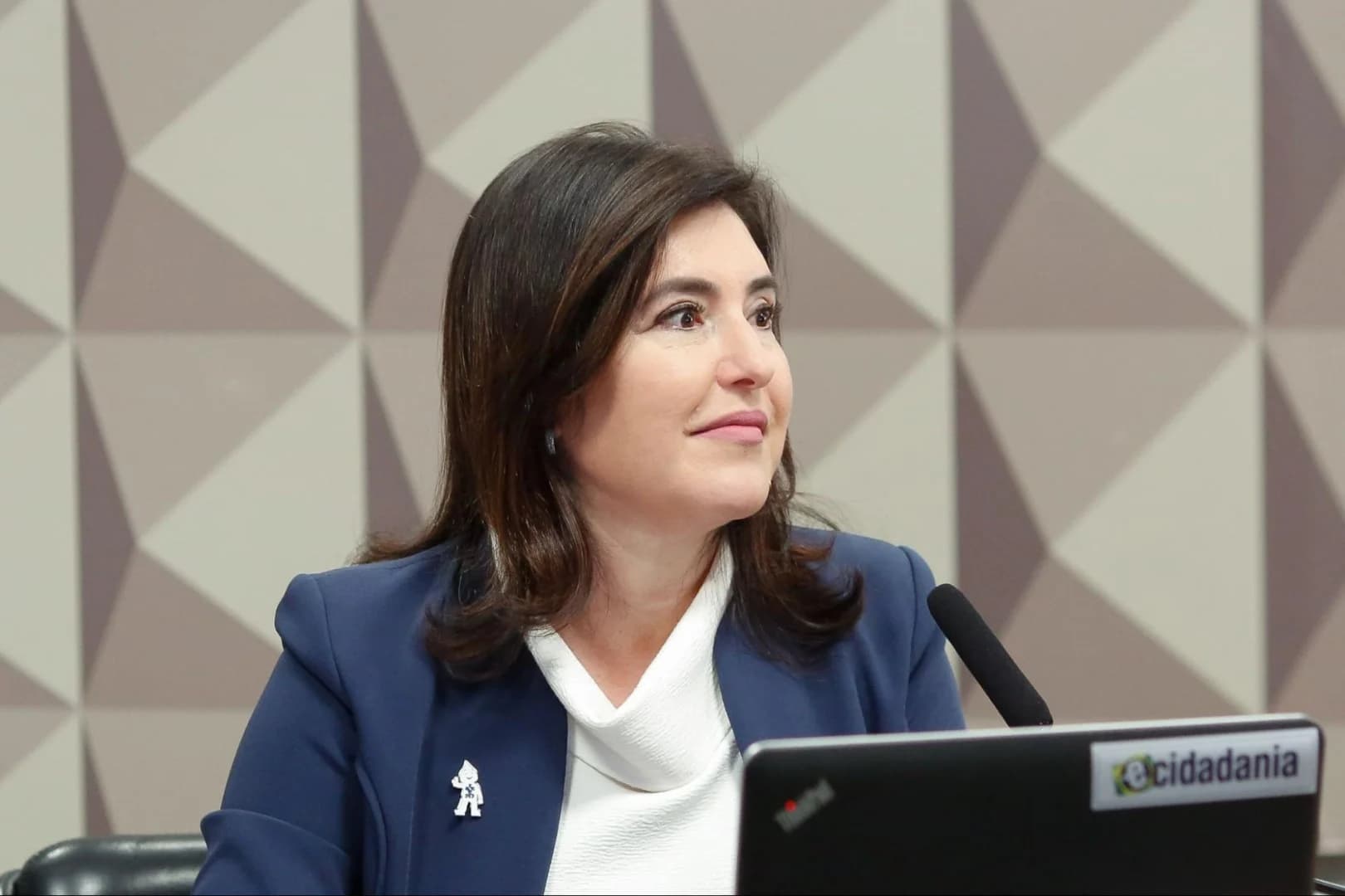 Tebet diz que aliados de Lula defendem verde e amarelo e chama bolsonaristas de “traidores da pátria”