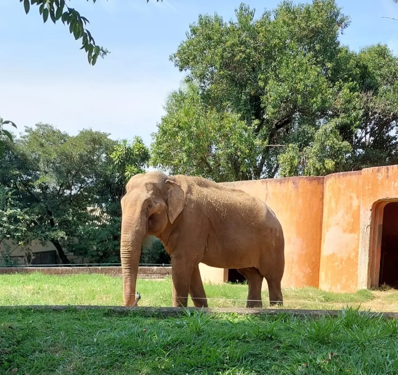 Zoo de Sorocaba tem programação especial em julho