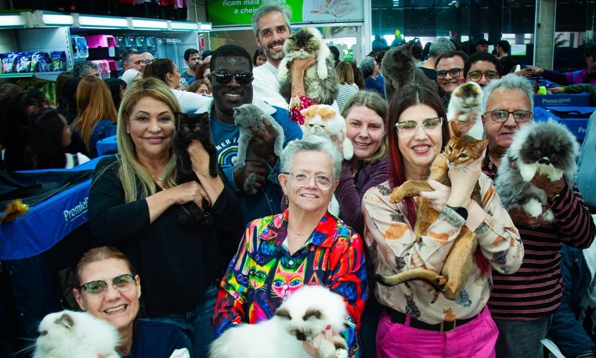 Santo André recebe 4ª Mostra de Gatos neste sábado