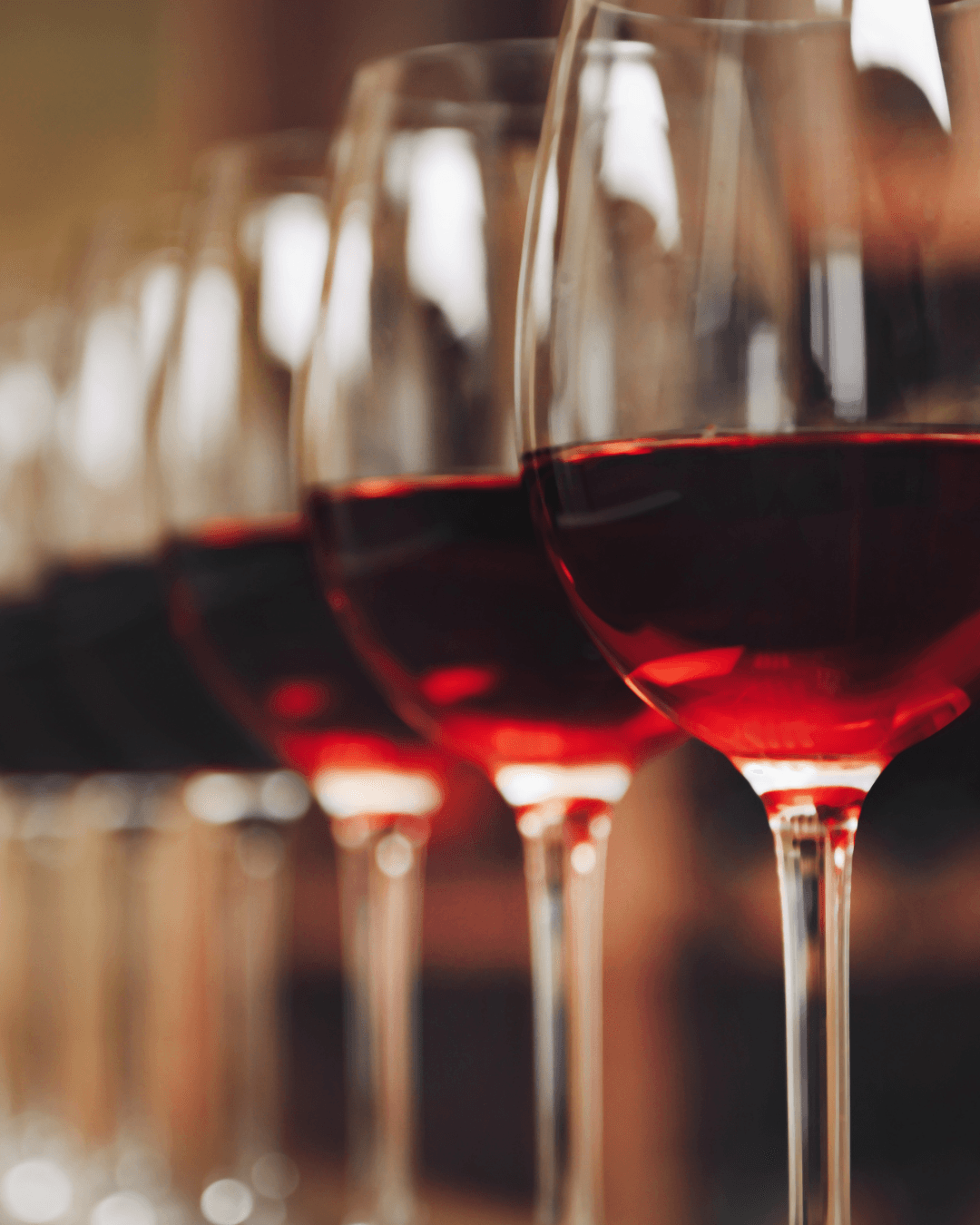 Festival de Vinhos reúne 70 rótulos em Santos