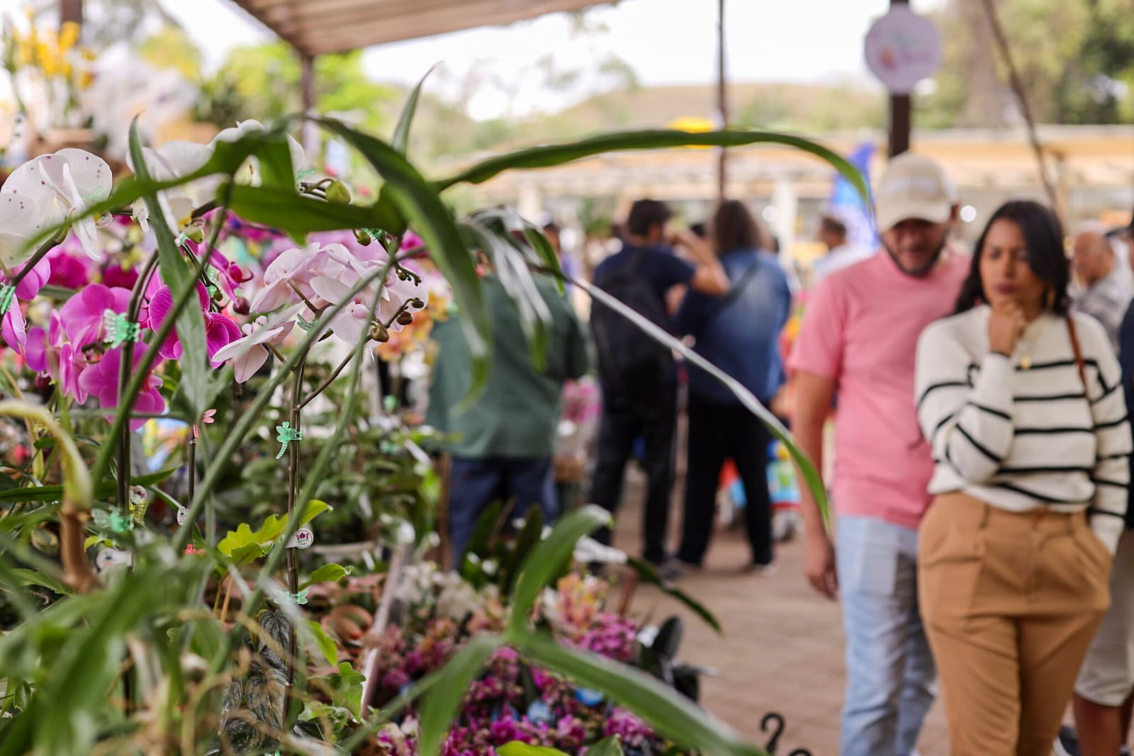 Guararema confirma data do Festival de Flores e Licores