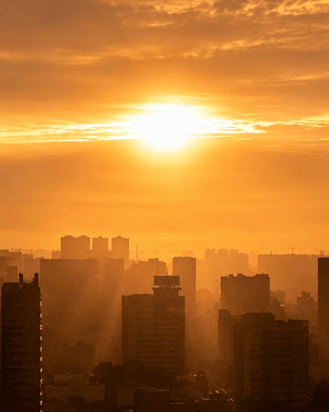 Alerta de Onda de Calor no Grande ABC