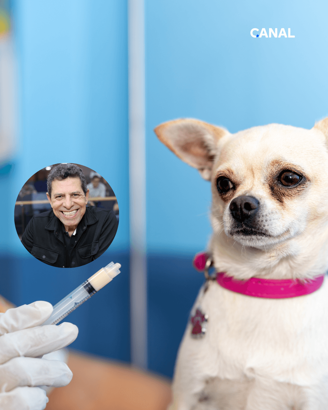 São Caetano terá Farmácia Veterinária Solidária