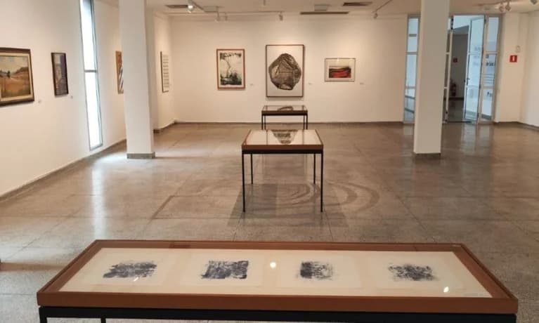 Pinacoteca de São Bernardo destaca artistas mulheres