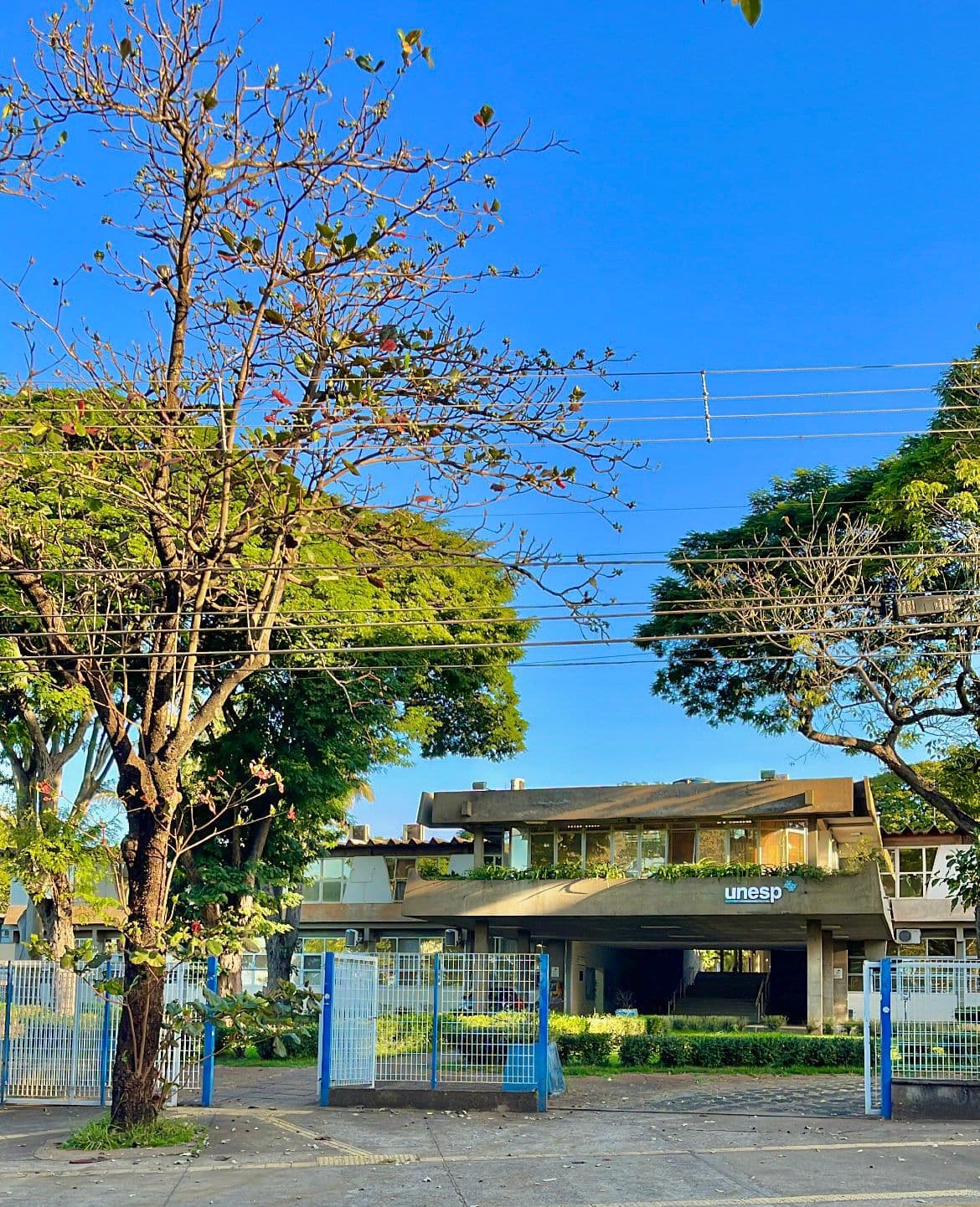 Unesp abre inscrições para Vestibular 2027