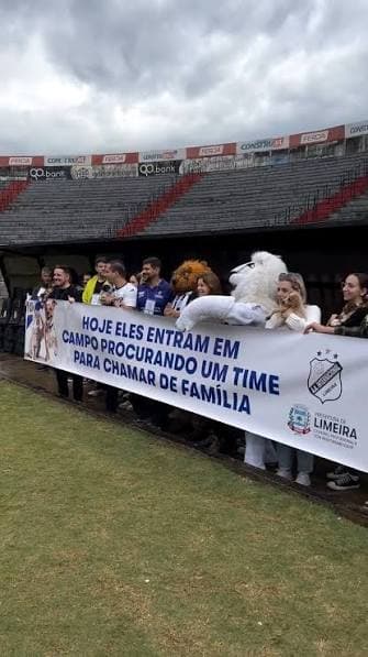 Inter de Limeira leva animais a campo para adoção