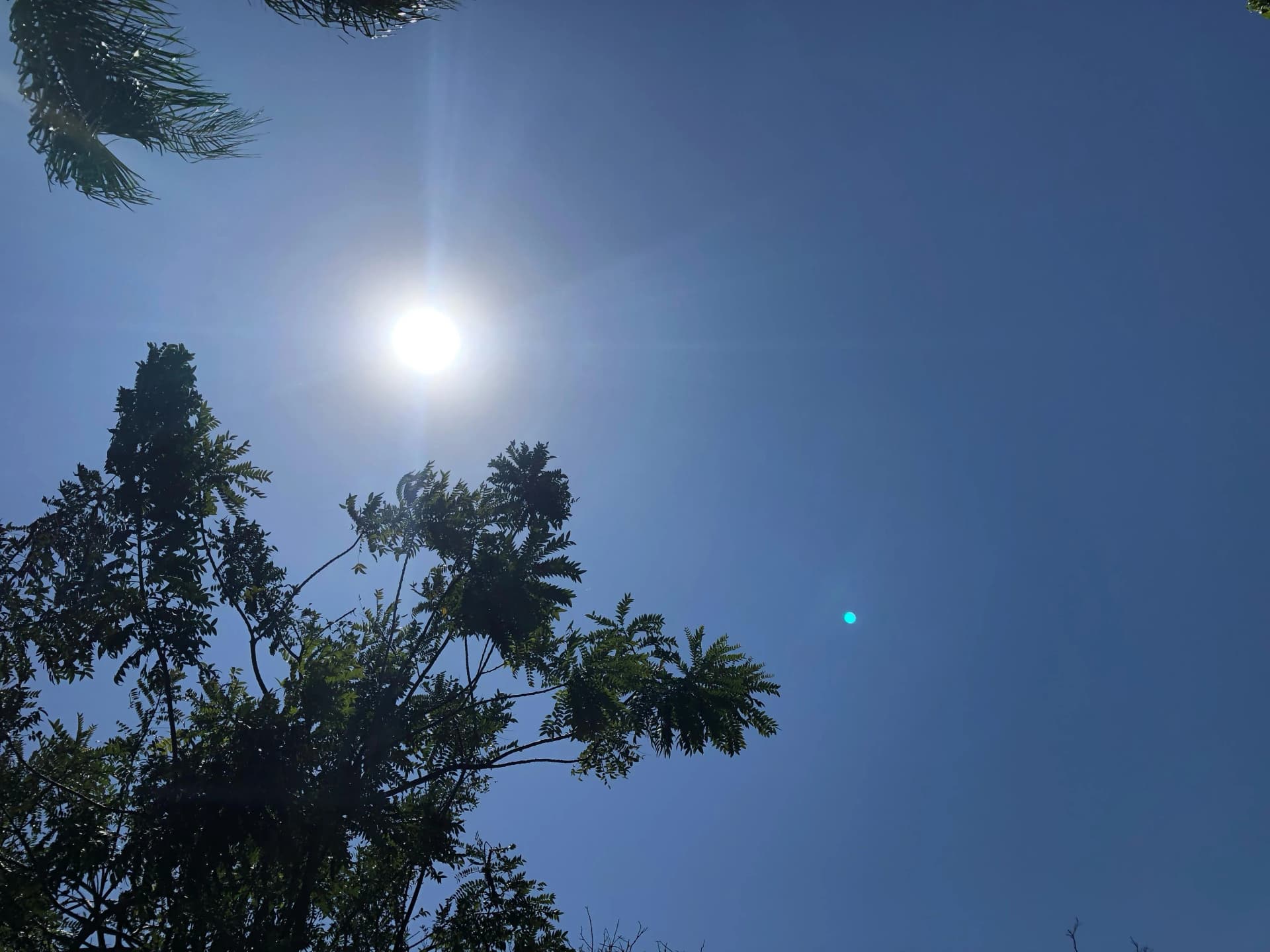 Calor intenso persiste em Campinas até quarta