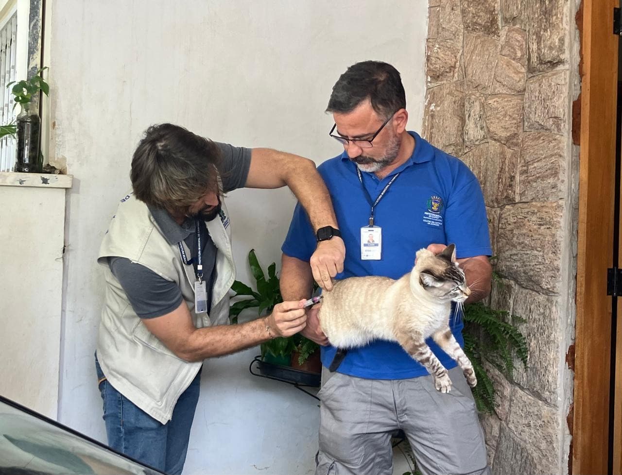 Campinas confirma raiva em gato e vacina entorno