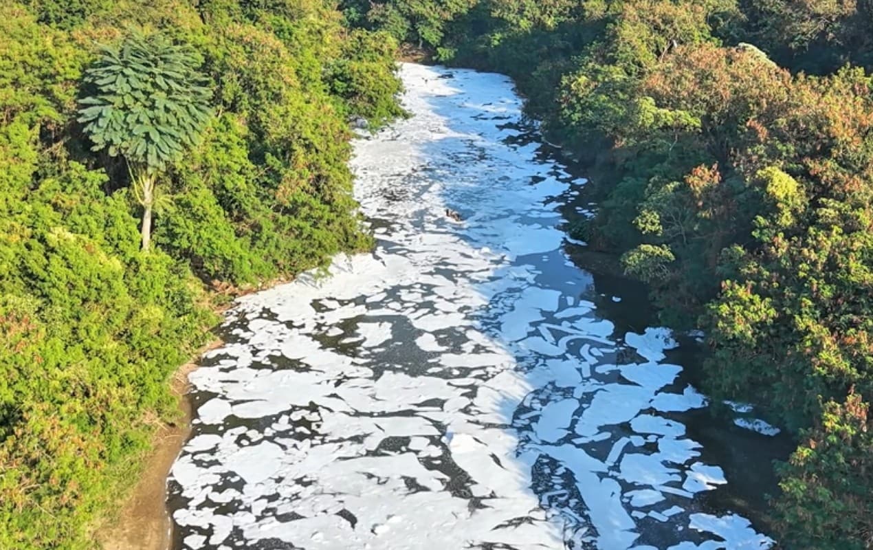 Espuma tóxica cobre trecho do Rio Jundiaí