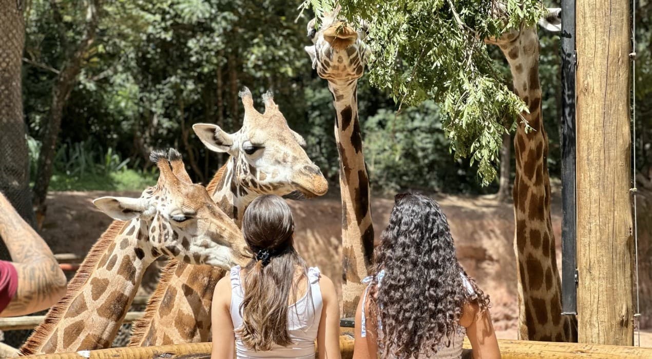 Zooparque Itatiba tem programação especial de férias