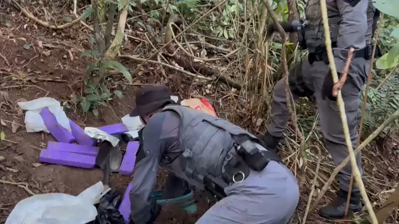 Operação encontra 26 kg de drogas enterradas no Guarujá