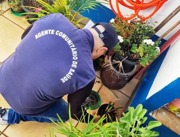 Ação contra dengue no Castelo Branco neste sábado