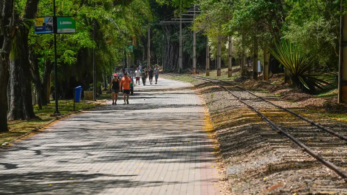 Feriado de 9 de Julho: o que abre e fecha