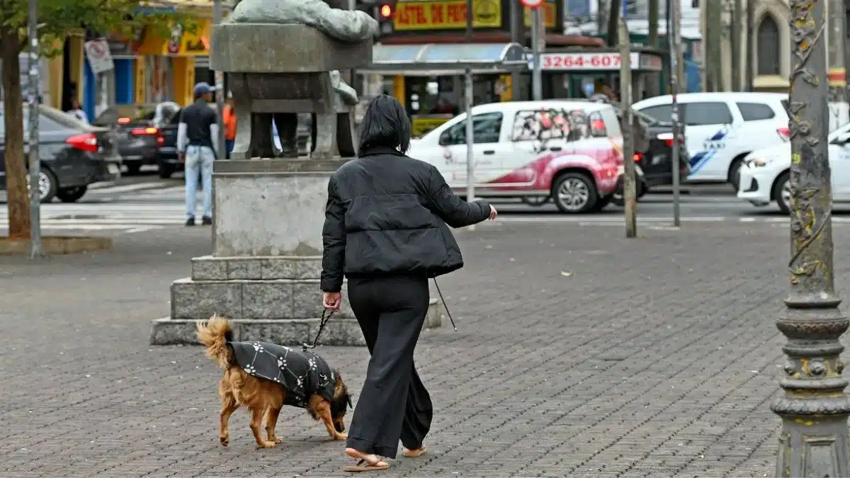 Campinas terá frio intenso a partir de quinta
