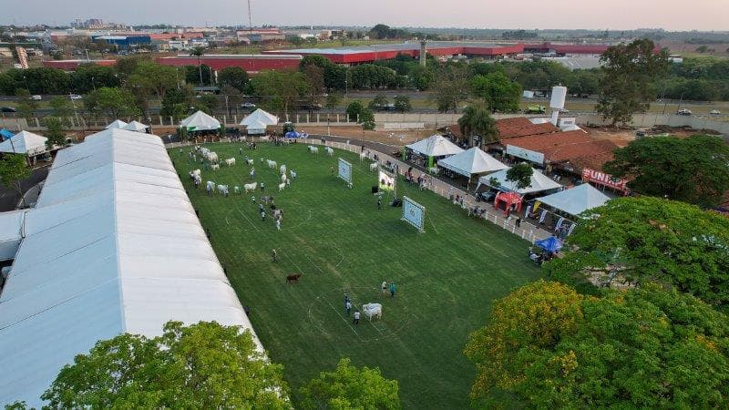 Rodeio muda trânsito e transporte em Rio Preto