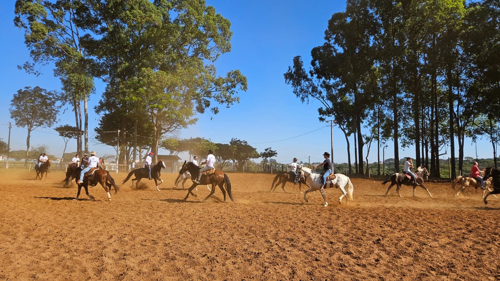 Cavalhadas de Franca intensificam ensaios para 195 anos