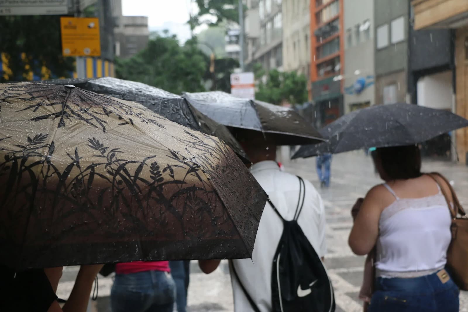 Defesa Civil alerta chuvas e ventos em SP