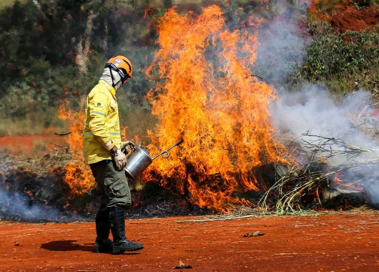 Defesa Civil alerta: 90% dos incêndios têm causa humana