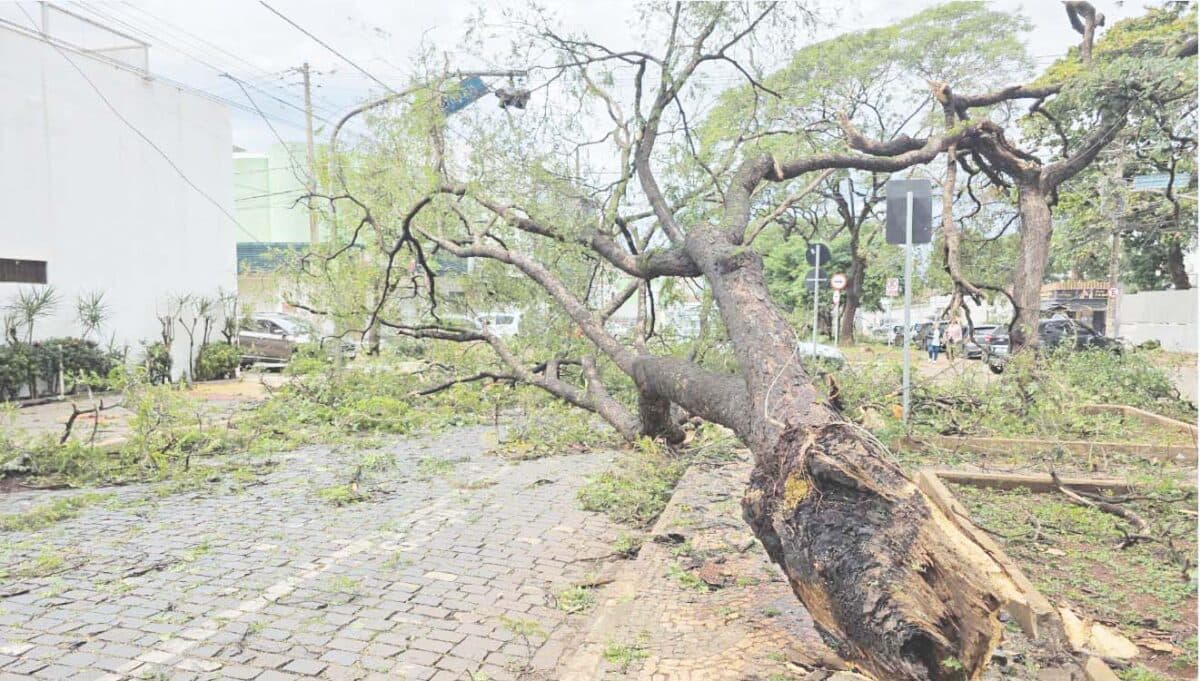 Frente fria traz chuva forte a Ribeirão Preto